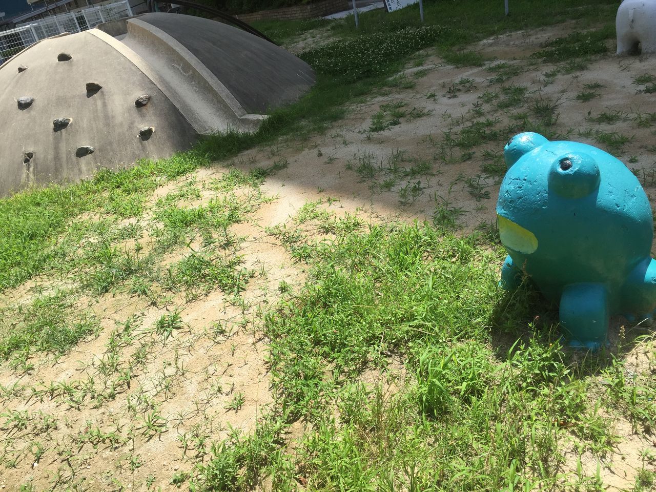 HIGH ANGLE VIEW OF ANIMAL TOY ON FIELD