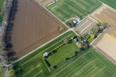 High angle view of agricultural field