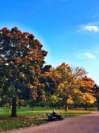 Scenic view of trees against sky