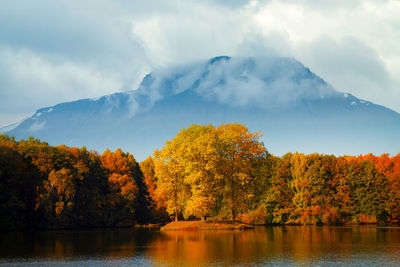 Scenic view of lake by trees against sky