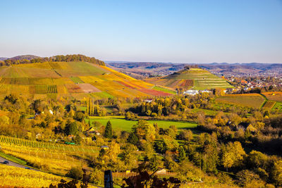Scenic view of vineyard during autumn, heilbronn, germany