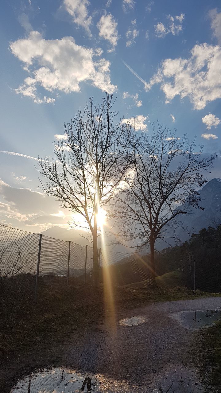 BARE TREES ON FIELD AGAINST SKY AT SUNSET