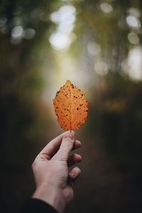 Close-up of hand holding autumn leaf