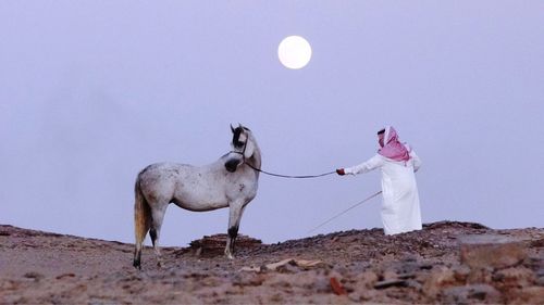 Man holding bridle while standing by horse on ground against sky