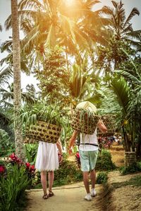 Rear view of woman walking on palm trees