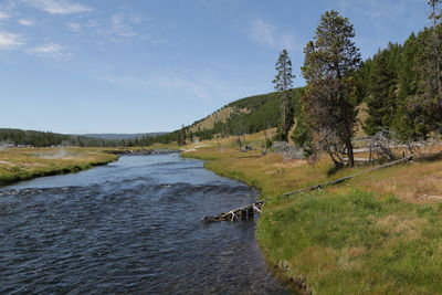 Scenic view of river amidst trees against sky