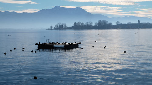 Scenic view of lake against sky with birds on wooden platform