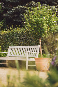 Potted plants on bench in garden