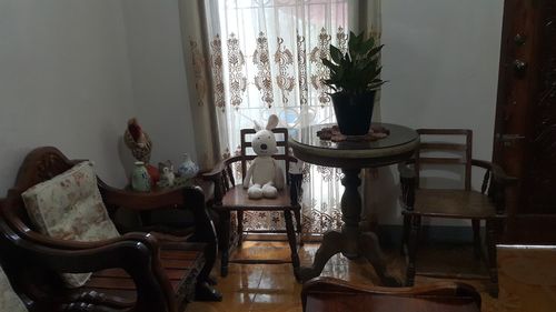 Potted plants on table at home