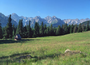 Scenic view of forest and mountains against blue sky