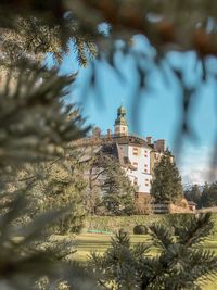 Trees and buildings against sky