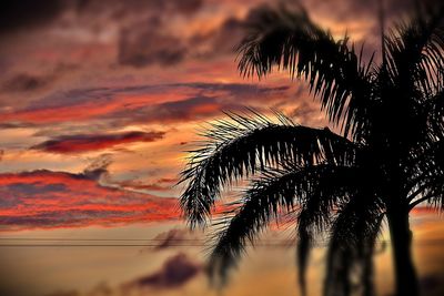 Low angle view of silhouette palm trees against romantic sky