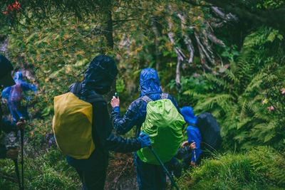 Rear view of hikers hiking in forest during rainy season