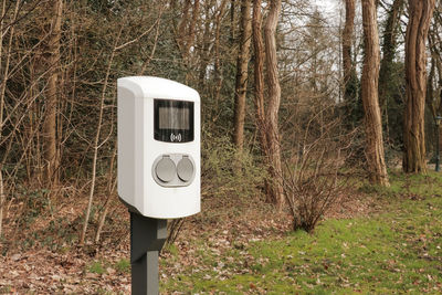 White electric car charger with two outlets in nature forest landscape background.