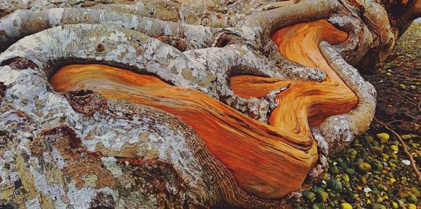 Close-up of rock formation