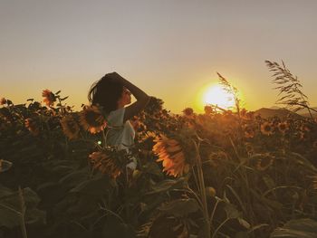 Side view of teenage girl standing amidst sunflowers against sky during sunset