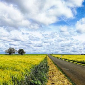 Land, road, trees and sky