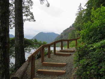 Bridge in forest against sky