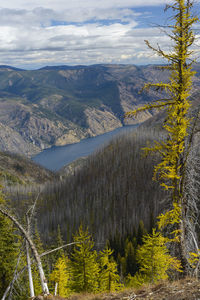 Lake chelan surrounded by mountains and burnt trees