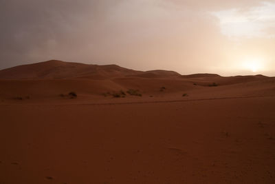 Scenic view of desert