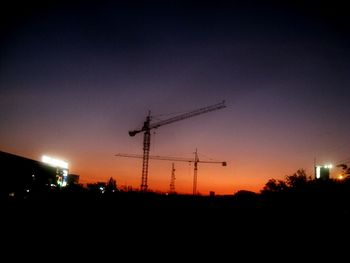 Silhouette of cranes at sunset