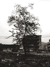 Built structure with trees in foreground