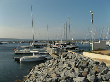 Sailboats moored at harbor in sea against sky