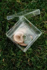 High angle view of food on grass