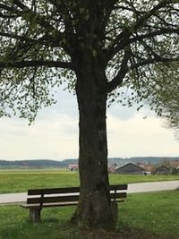 Trees on field against sky