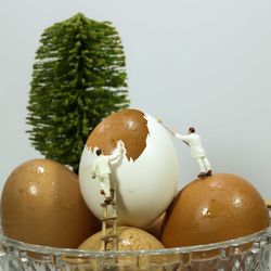 Close-up of easter eggs against white background