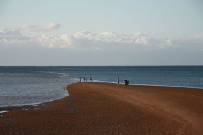 People on shore at beach against sky
