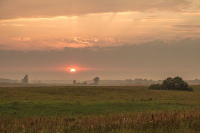 Scenic view of field against sky at sunset