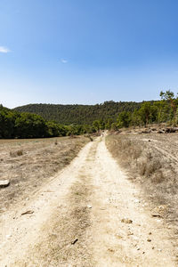 Road amidst trees on field against blue sky