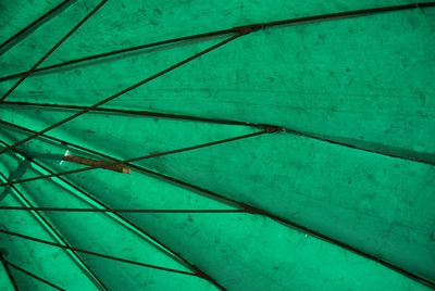 Full frame shot of green umbrella