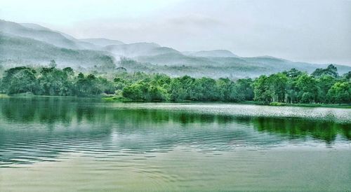 Scenic view of lake in forest