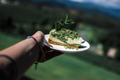 Close-up of hand holding matcha cake