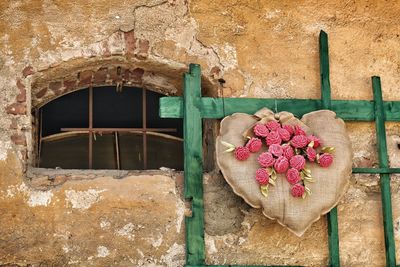 Artificial roses on heart shape pillow by window of old house