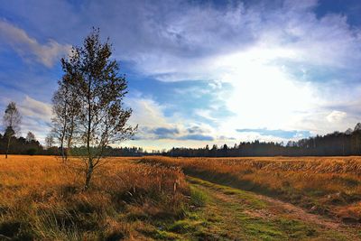 Scenic view of land against sky