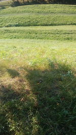 High angle view of field