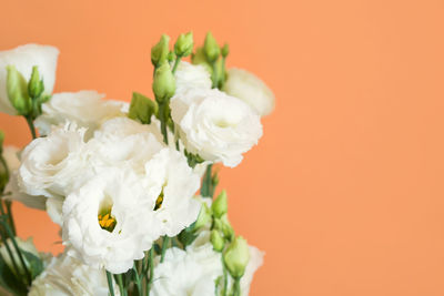 Close-up of white flower bouquet against orange background