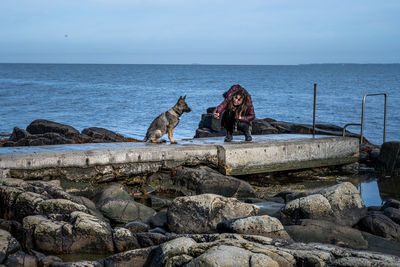 Dog sitting on rock by sea against sky