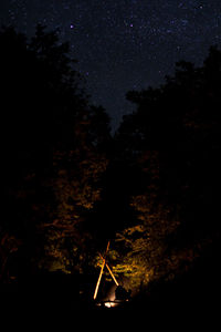 Low angle view of silhouette trees against sky at night
