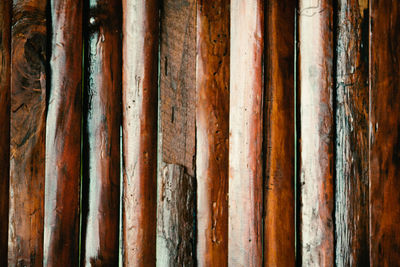 Full frame shot of bamboos