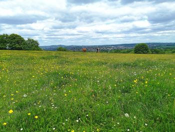 Scenic view of grassy field against cloudy sky