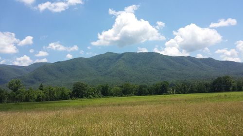 Scenic view of landscape against cloudy sky