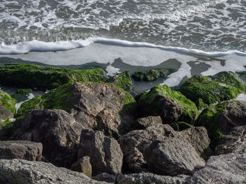 High angle view of rocks on beach