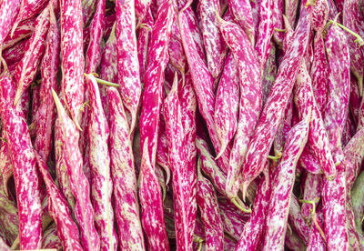 Full frame shot of pink for sale in market