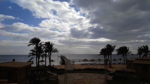 Palm trees on beach against sky