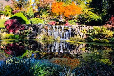 Scenic view of lake in forest during autumn