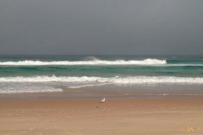 Scenic view of beach against clear sky